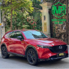 cx5-do-1